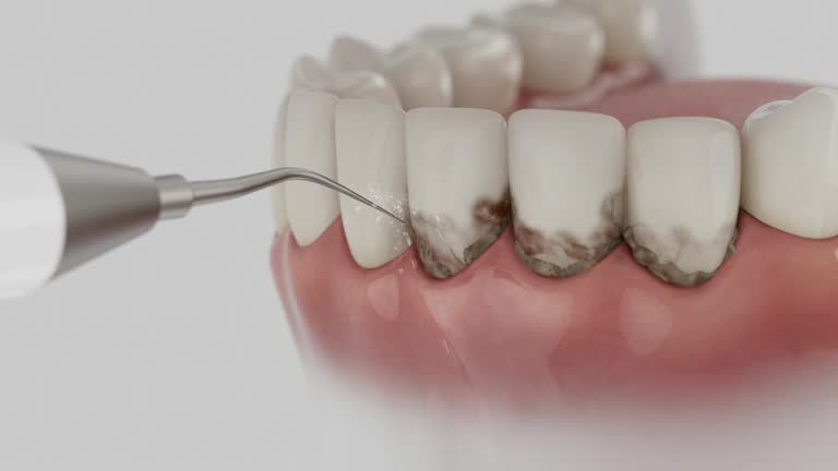 Reliable Dental contractor in Flower Hill, MD by Dentist Open Now